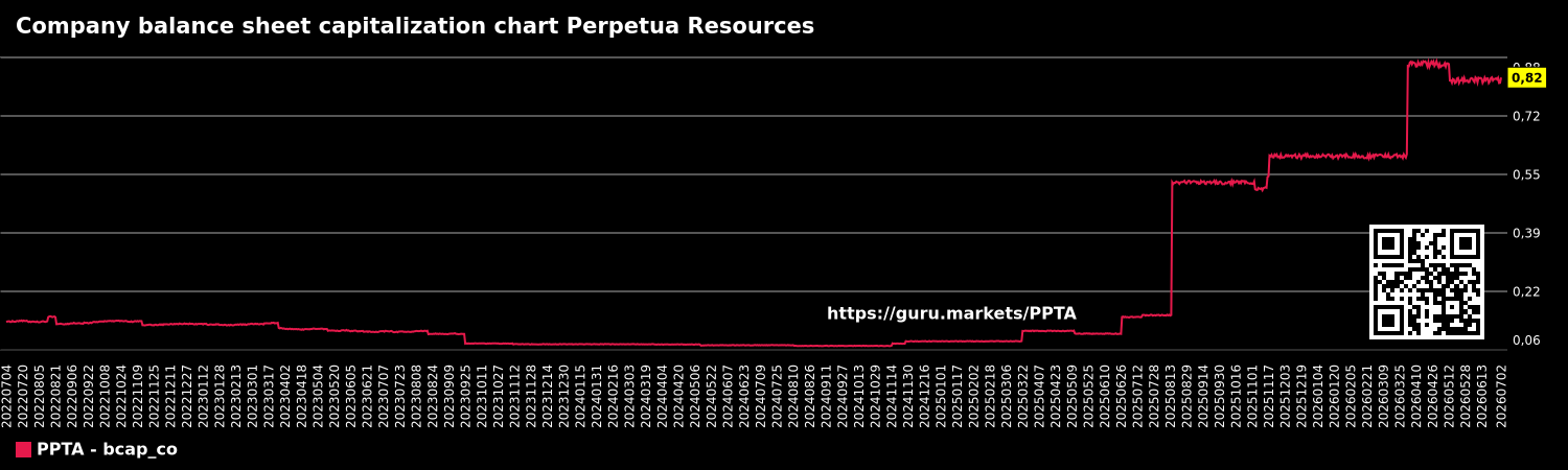 Company balance sheet capitalization chart Perpetua Resources